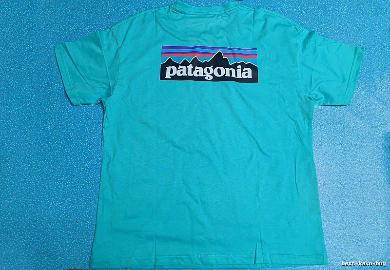 Patagonia Blue Logo T-Shirt Training Look Graphic