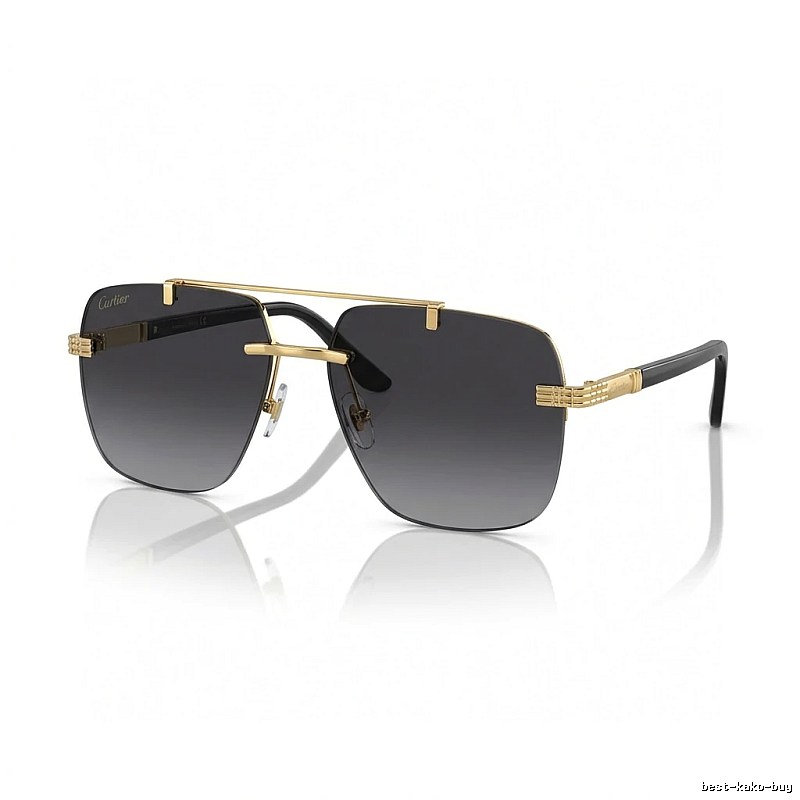Cartier Trendy Cool Black Gold Sunglasses