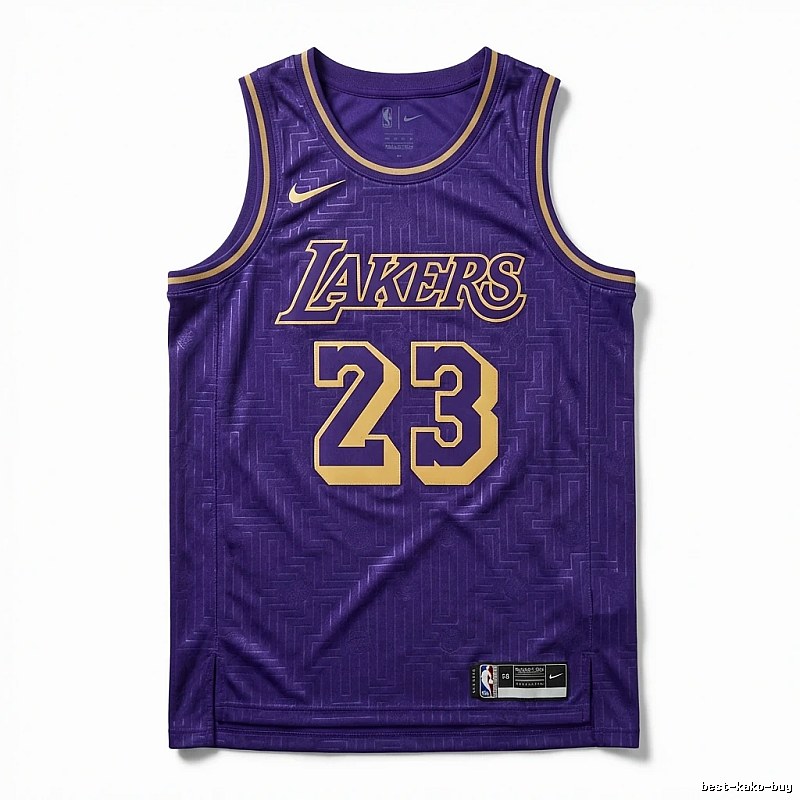 LBJ Lakers retro purple jersey