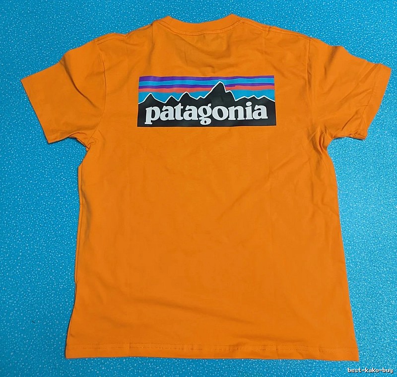 Patagonia Orange Logo T-Shirt Logo Detail Graphic